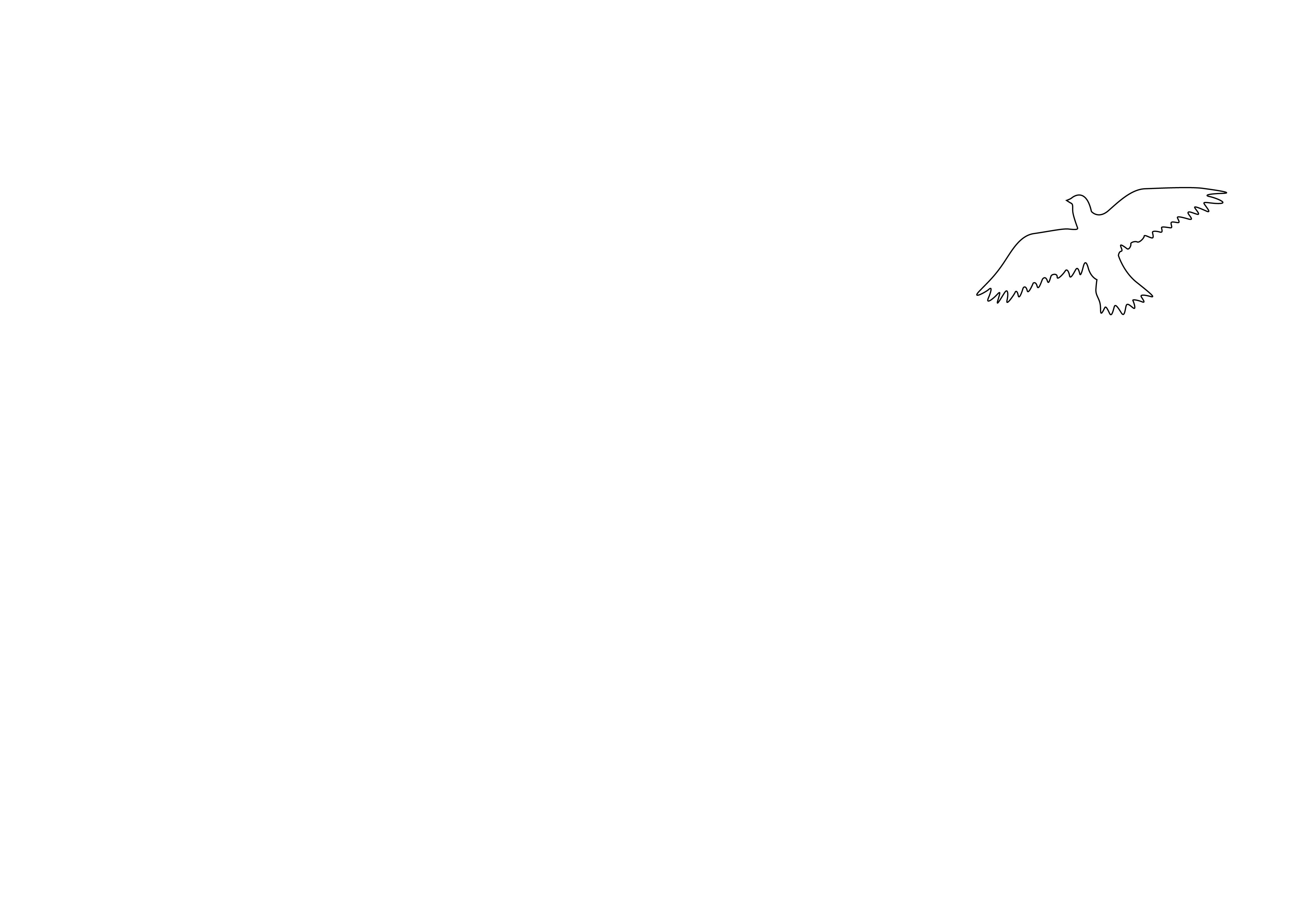 Mesa Rim Climbing Centers logo